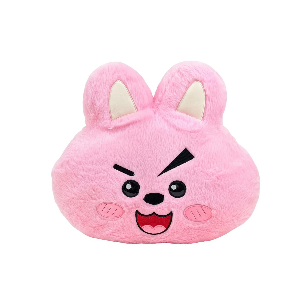 Cojines BTS 38cm