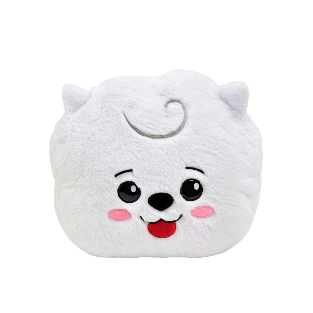 Cojines BTS 38cm
